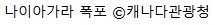 에디터 사진